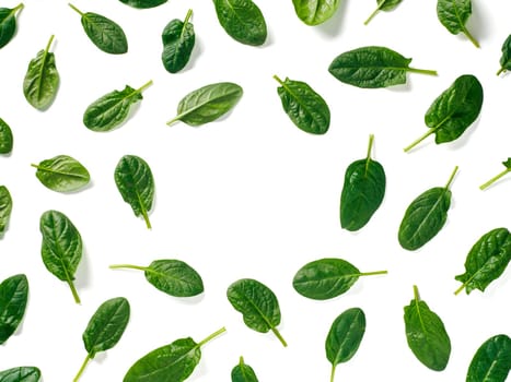 Pattern from baby spinach leaves with copy space in center. Fresh green baby spinach isolated on white with clipping path. Top view or flat lay. Can use for design vegan and keto diet