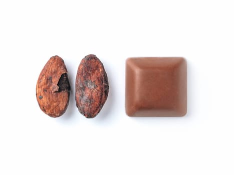 Raw cacao bean and chocolate piece on white background. Isolated on white with clipping path. Copy space for text.