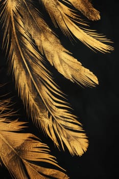 Golden feathers highlighted on a black background.