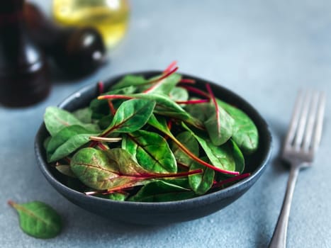 Fresh salad of green chard leaves or mangold on gray stone background. Fresh baby beet leaves in craft ceramic bowl. Copy space for text. Natural day light