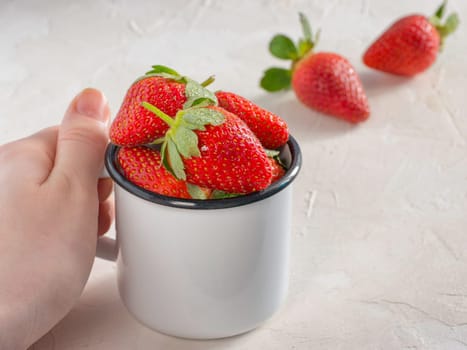 Her hand holding metal cup with strawberries. Fresh red strawberries in metal cup. Strawberry in rustic cup on oriental white background