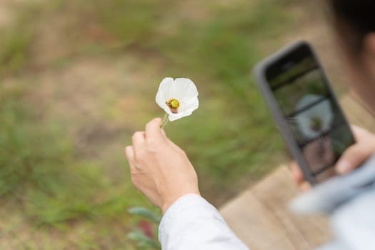 A person is taking a picture of a flower with a cell phone. The flower is white and has a yellow center. The person is holding the flower up to the camera, and the image is blurry