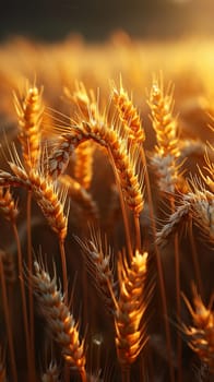 A Gentle Breeze Through a Field of Golden Barley, The subtle sway of crops blurring in the wind, a testament to growth and nourishment.