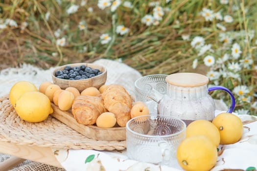 Picnic in the chamomile field. A large field of flowering daisies. The concept of outdoor recreation