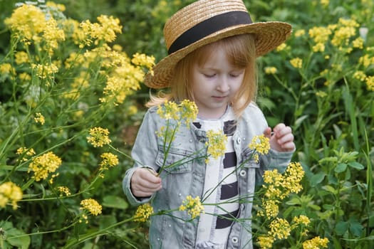 Blonde girl in a field with yellow flowers. A girl in a straw hat is picking flowers in a field. A field with rapeseed