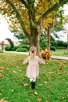 Little girl with a bouquet of orange leaves walks through the park towards a tree. Back view. High quality photo