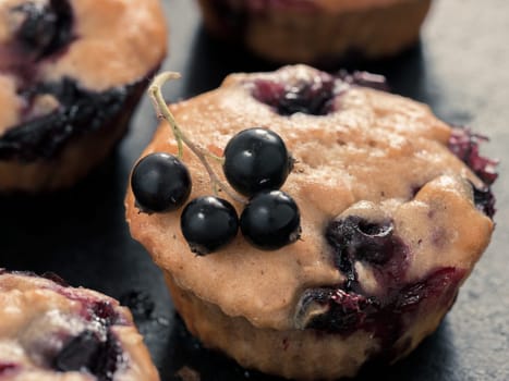 Muffins with black currant on dark background close up