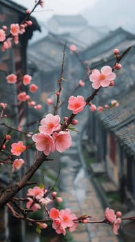 A terrestrial plant branch with pink flowers, blossoms, and petals, growing in front of a building with windows, creating a picturesque scene