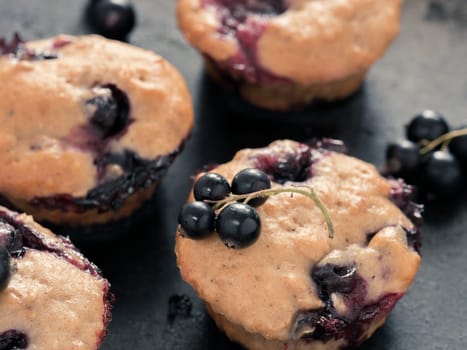 Muffins with black currant on dark background close up