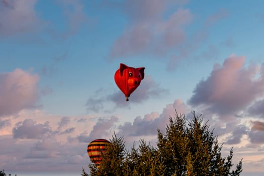 Bird in Hand, Pennsylvania, September 14, 2023 - A pig-shaped hot air balloon floats whimsically against a sunset sky, offering a unique and playful sight in a ballooning event.