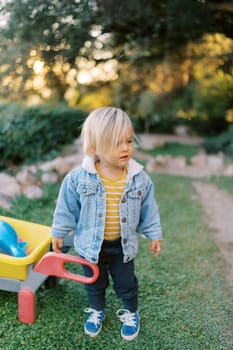 Little girl stands near a toy wheelbarrow in a park. High quality photo