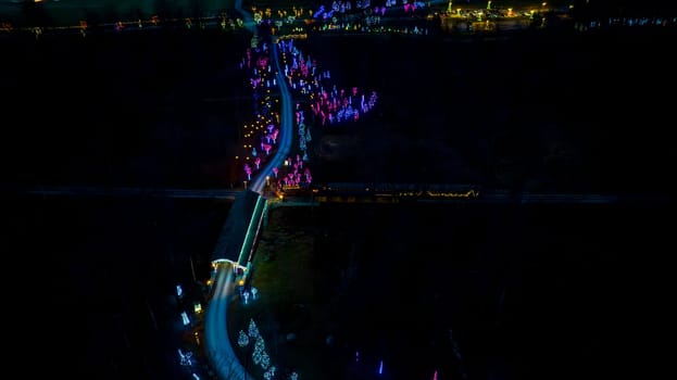 Elevated Nighttime View Of A Curving Road Lined With Neon-Lit Trees Leading To A Distant Cluster Of Brightly Illuminated Areas.