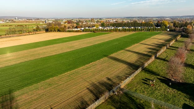 Late afternoon sun casts long shadows over a textured landscape, accentuating the division of crops and pastures in this rural expanse.