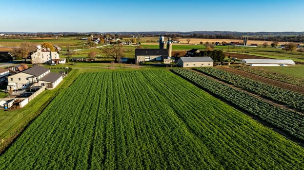 Captured from above, this image reveals a rustic farmstead surrounded by lush fields, a quaint setting for themes of rural life and agriculture.