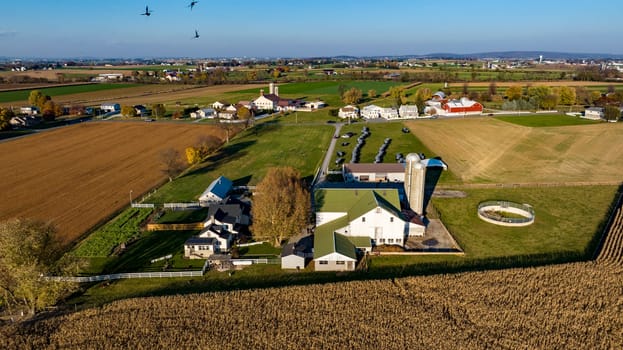 Ronks, Pennsylvania, November 7, 2023 - Birds soar above a farm ready for harvest, with neat rows of crops and farm buildings nestled in a lush rural landscape, as viewed from the sky at sunset. having an Amish wedding