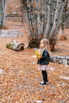 Little girl with a bouquet of yellow leaves stands in an autumn park near a tree and looks away. High quality photo