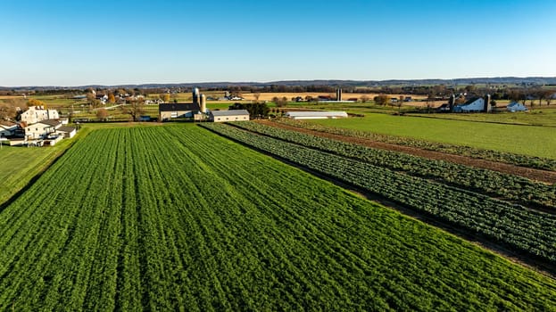 The golden sunlight bathes a farm with vibrant green fields, offering a picturesque image perfect for themes of agriculture and country living.