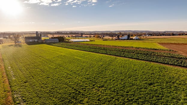 The warm glow of sunrise illuminates green fields and farm structures, showcasing rural life and agriculture's serene beauty.