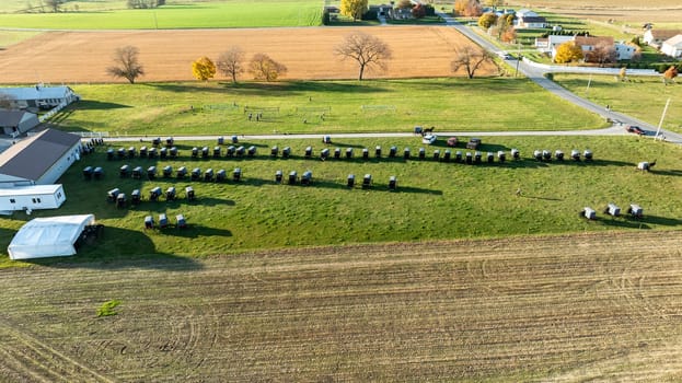 A vivid aerial photograph captures Amish buggies neatly arranged at a community event, surrounded by the vibrant colors of fall harvest fields., during an Amish wedding