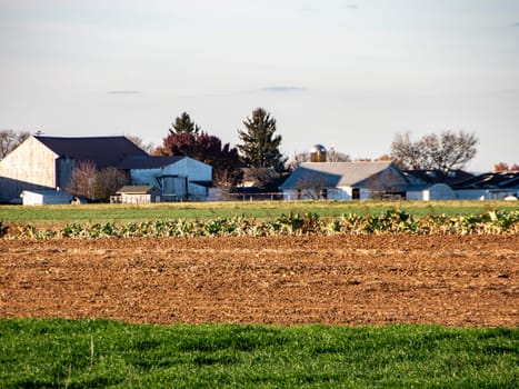 The last rays of the sun spotlight a heartland farmstead, bringing warmth to the cool tones of the rural landscape.