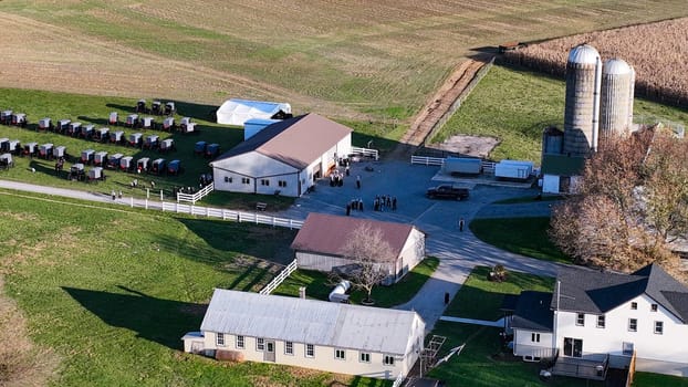 Ronks, Pennsylvania, November 7, 2023 - Captured from above, this image showcases an Amish community gathering, with a lineup of traditional horse-drawn buggies. Perfect for pieces on Amish culture, rural life, or transportation history., for an Amish wedding