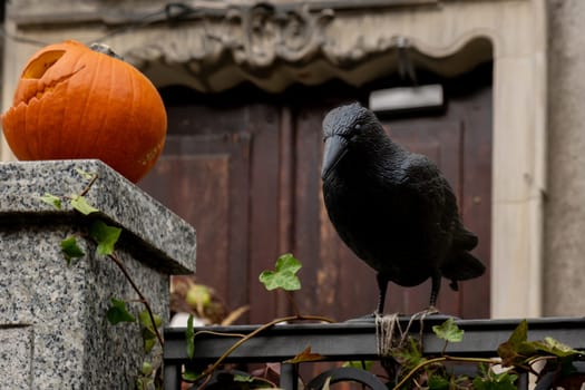 Halloween decorated outdoor cafe or restaurant terrace in America or Europe with scary Black Raven pumpkins traditional attributes of Halloween. Frontyard decoration for party.