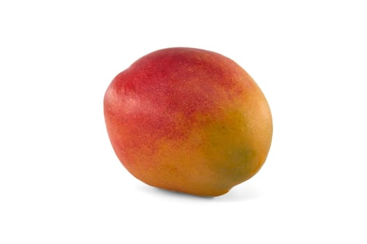 Ripe mango fruit with a blend of red and yellow tones on their skin isolated against a white background