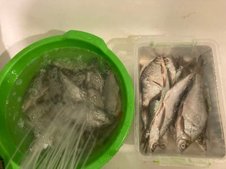 Drying salted fish for the jerky