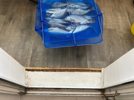 Drying salted fish for the jerky