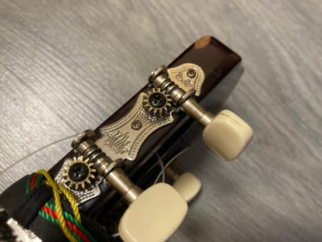 Acoustic guitar and its elements for the playing