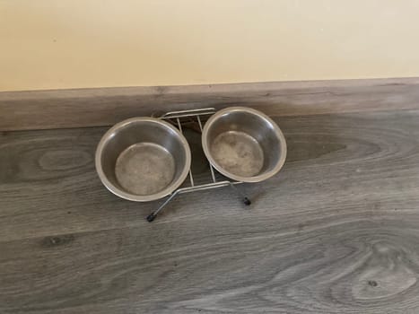 Food feeder for dogs and cats in a the house