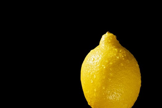 Close up of fresh yellow organic lemon with water droplets on black background