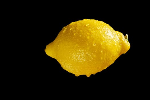 Close up of fresh yellow organic lemon with water droplets on black background