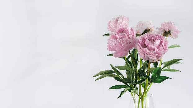Beautiful pale pink peony bouquet in glass vase on white or light gray wall background. Banner. Copy space for text.