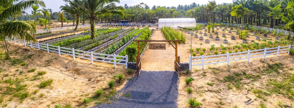 Botanic garden in Khao Lak beach in Phang Nga, Thailand, south east asia