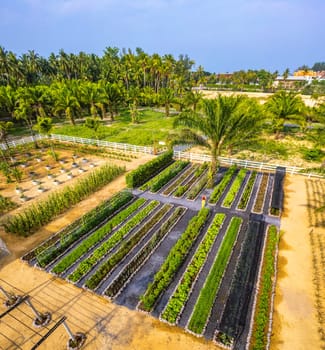 Botanic garden in Khao Lak beach in Phang Nga, Thailand, south east asia