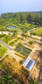 Botanic garden in Khao Lak beach in Phang Nga, Thailand, south east asia