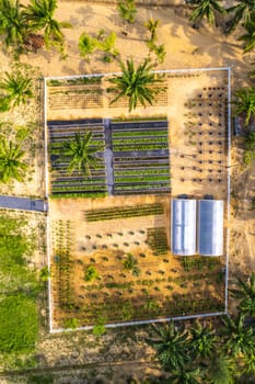 Botanic garden in Khao Lak beach in Phang Nga, Thailand, south east asia