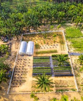 Botanic garden in Khao Lak beach in Phang Nga, Thailand, south east asia