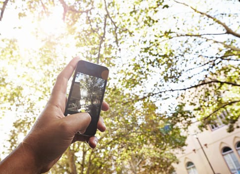 Phone, screen and photography of trees in park at college, campus or academy building with nature. Outdoor, filming and hand click recording on cellphone to post online about environment at school.