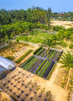 Botanic garden in Khao Lak beach in Phang Nga, Thailand, south east asia