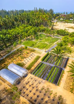 Botanic garden in Khao Lak beach in Phang Nga, Thailand, south east asia