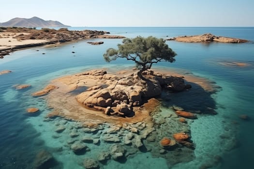 A tree on a small rocky island in the water.