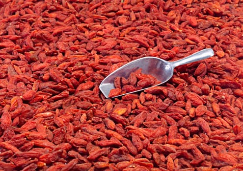 Goji berries, wellness and fruit by white background for health, nutrition and diet with metal scoop. Chinese wolfberry, organic and vitamins in studio for supplement with superfood, fibre and raw.
