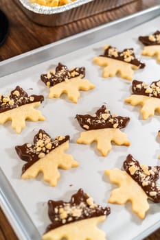 Creating cutout sugar cookies, partially dipped in chocolate and topped with hazelnut pieces, placed on parchment paper.