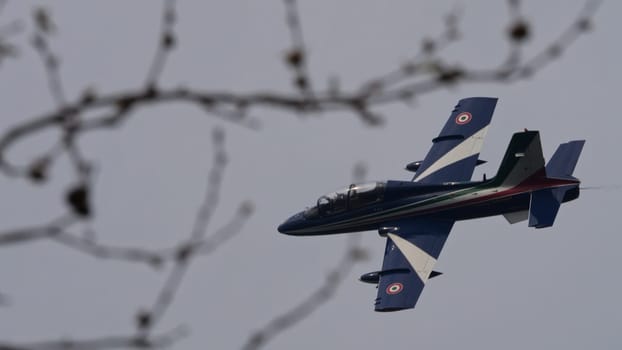 Istrana Italy April 5 2024: Isolated Military Airplane in Flight Behind Branches of a Tree. Aermacchi MB-339 of Frecce Tricolori the Italian Air Force Aerobatic Team. Copy Space