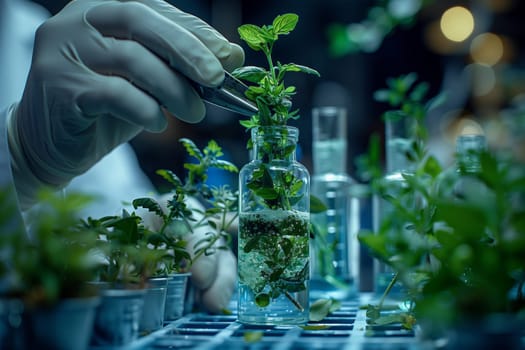 The scientist is experimenting on a terrestrial plant in a beaker. The plant is adapting to the environment with water. It resembles a miniature landscape art piece