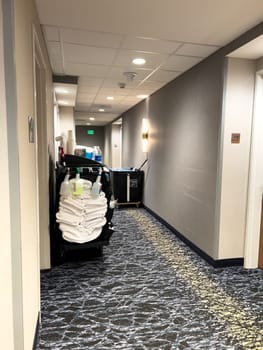 Ft. Collins, Colorado, USA-April 6, 2024-Experience our meticulous cleaning service in the hotel hallway, guaranteeing a pristine and inviting atmosphere for guests. We prioritize cleanliness and comfort for a memorable stay.