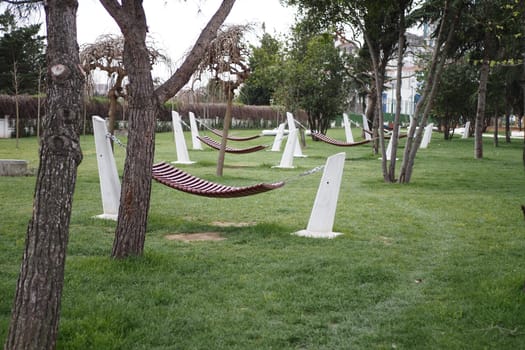 A hammock is suspended between trees on the lush grass in a park.