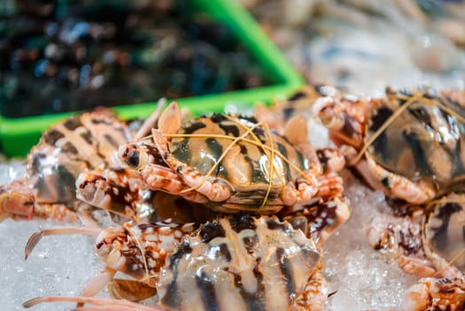 Fresh raw sea flower crab (portunus pelagicus) premium grade display for sale at seafood market or Thai street food use for cook steamed blanched crab